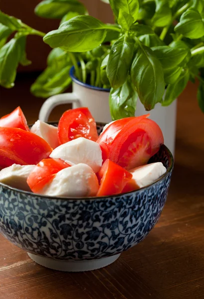 Caprese salad — Stock Photo, Image