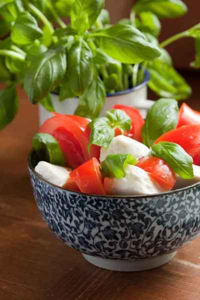 Caprese salad — Stock Photo, Image