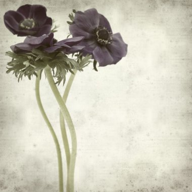 desenli eski kağıt arkaplan  