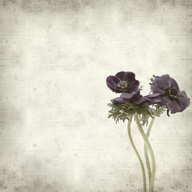 desenli eski kağıt arkaplan  