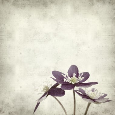 desenli eski kağıt arkaplan