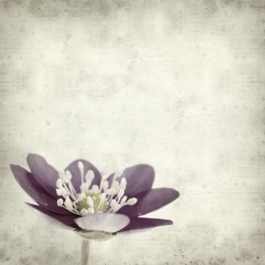 desenli eski kağıt arkaplan