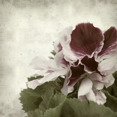 desenli eski kağıt arkaplan  