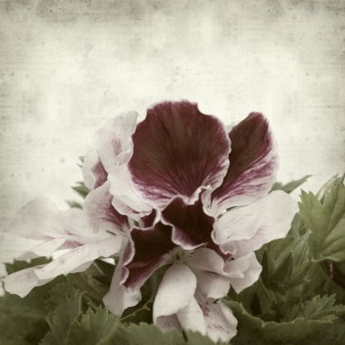 desenli eski kağıt arkaplan  