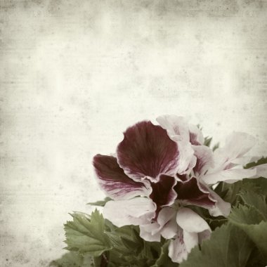 desenli eski kağıt arkaplan  