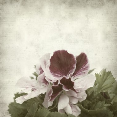 desenli eski kağıt arkaplan  