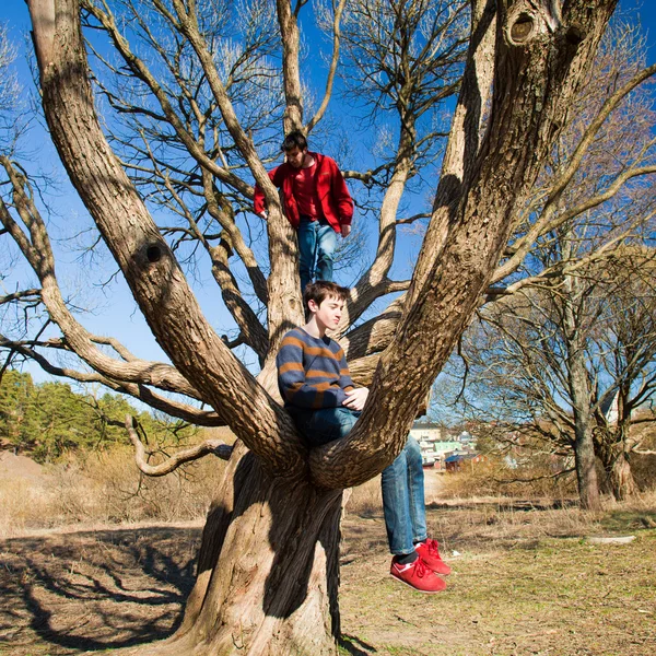 Climbing — Stock Photo, Image