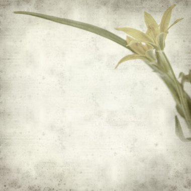 desenli eski kağıt arkaplan  