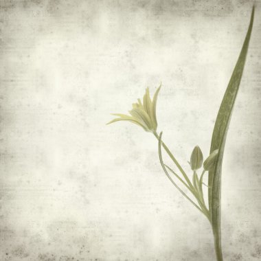 desenli eski kağıt arkaplan  