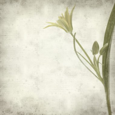 desenli eski kağıt arkaplan  