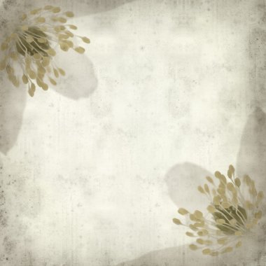 eski kağıt arka plan ile dokulu