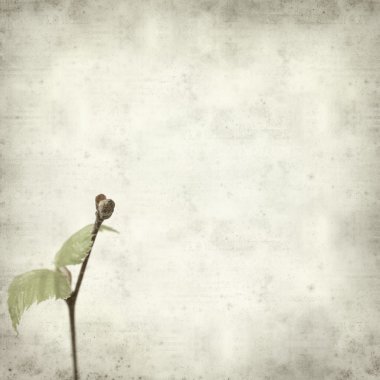 desenli eski kağıt arkaplan