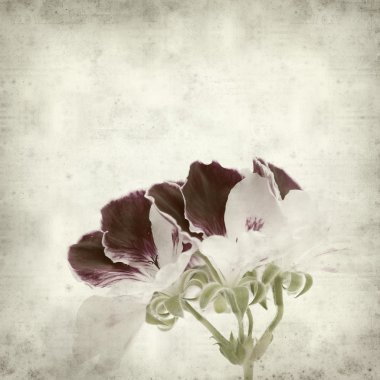 desenli eski kağıt arkaplan  