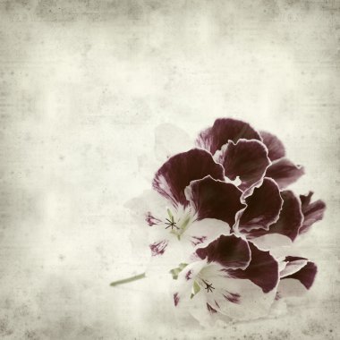 desenli eski kağıt arkaplan  