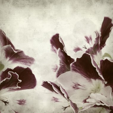 desenli eski kağıt arkaplan  