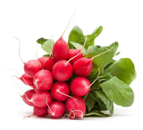 Radish — Stock Photo, Image