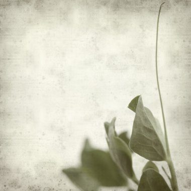 desenli eski kağıt arkaplan  