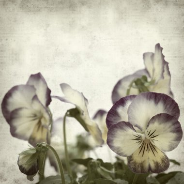 desenli eski kağıt arkaplan  