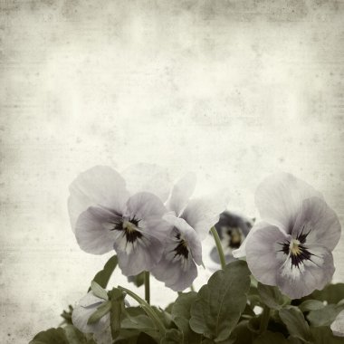 desenli eski kağıt arkaplan  