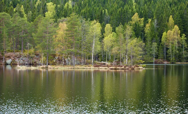 Våren sjön reflektioner — Stockfoto