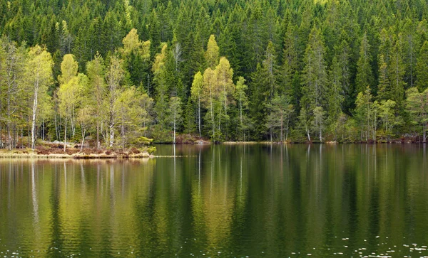 Spring lake reflecties — Stockfoto