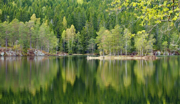 Spring lake reflections — Stock Photo, Image