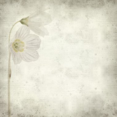 desenli eski kağıt arkaplan  