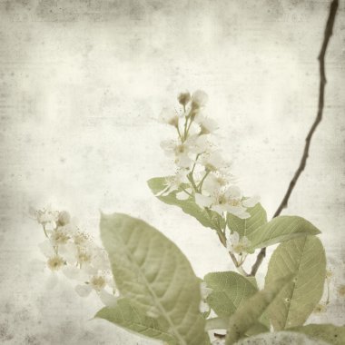 eski kağıt arka plan ile dokulu 