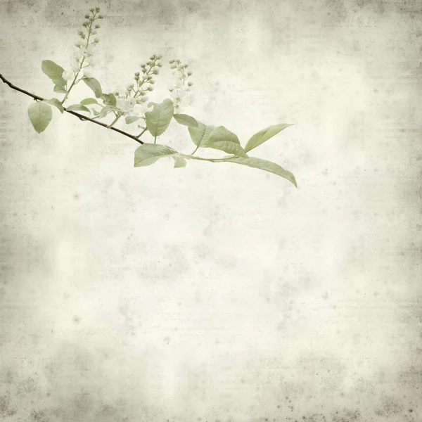 Textured old paper background with — Stock Photo, Image