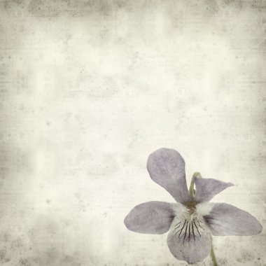 desenli eski kağıt arkaplan  