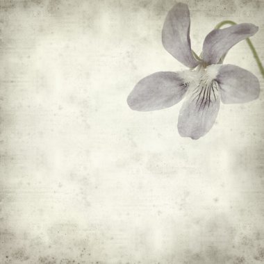 desenli eski kağıt arkaplan  