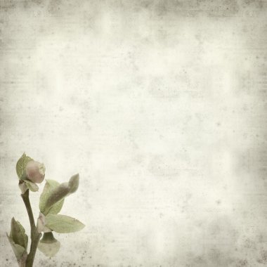 desenli eski kağıt arkaplan  