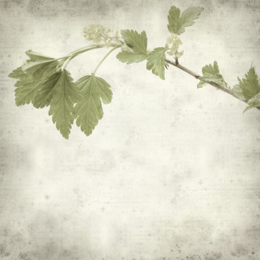 eski kağıt arka plan ile dokulu 