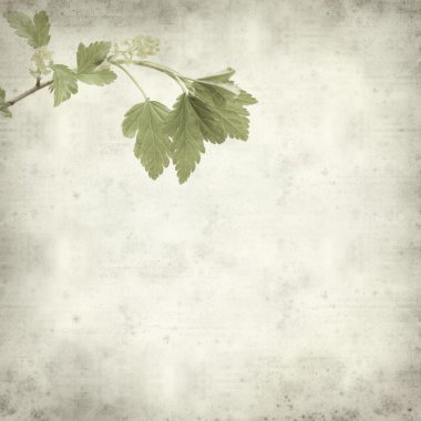 eski kağıt arka plan ile dokulu 