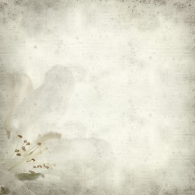 eski kağıt arka plan ile dokulu 