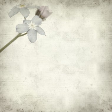 desenli eski kağıt arkaplan  