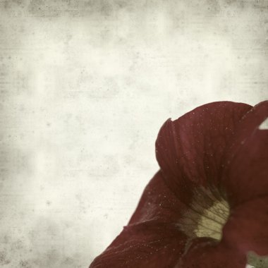 desenli eski kağıt arkaplan  