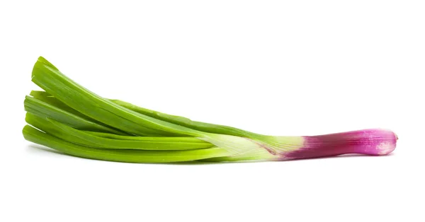Purple spring onions — Stock Photo, Image