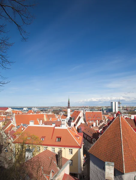 Tallinn, estland — Stockfoto