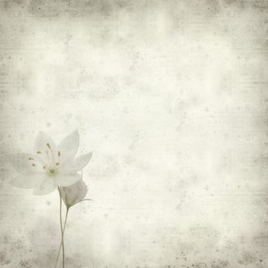 desenli eski kağıt arkaplan  