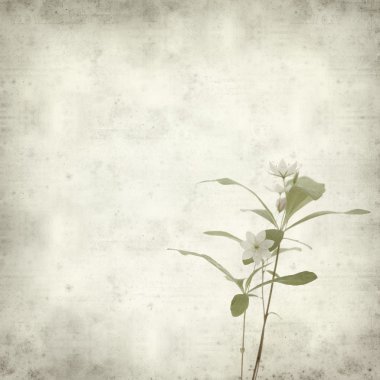 desenli eski kağıt arkaplan  