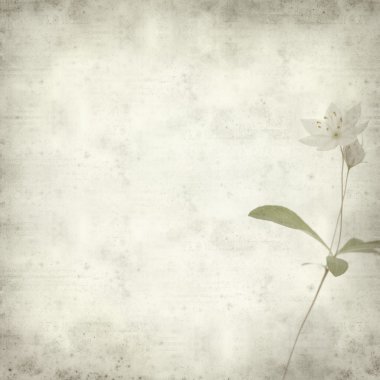 desenli eski kağıt arkaplan  