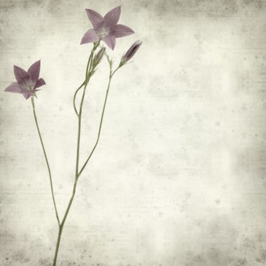 desenli eski kağıt arkaplan  