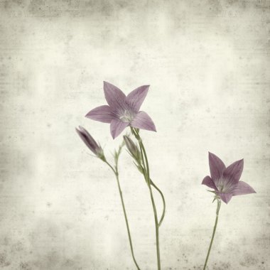 desenli eski kağıt arkaplan  