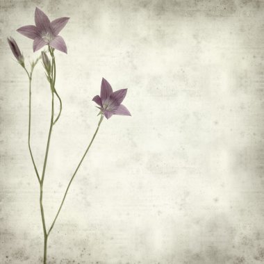 desenli eski kağıt arkaplan  