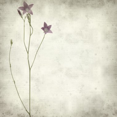 desenli eski kağıt arkaplan  