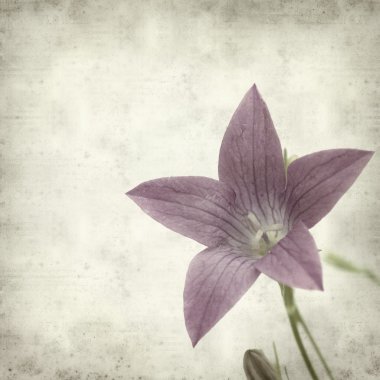 desenli eski kağıt arkaplan  