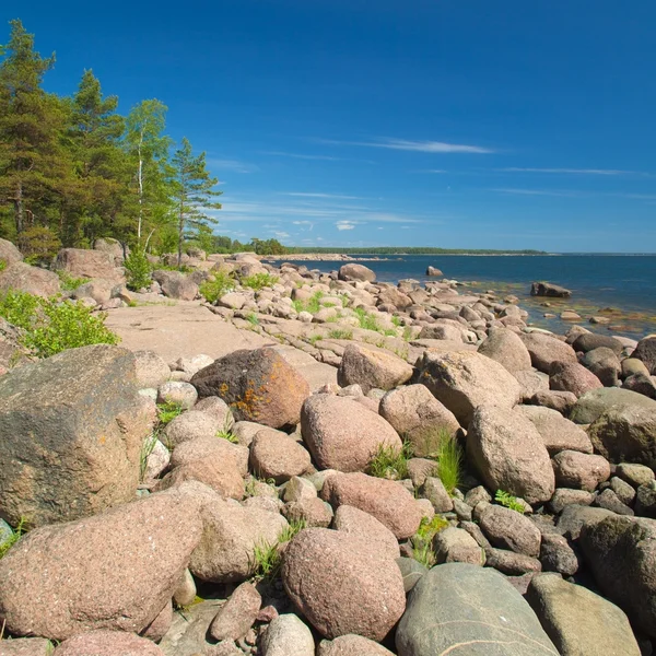 Finnish summer — Stock Photo, Image