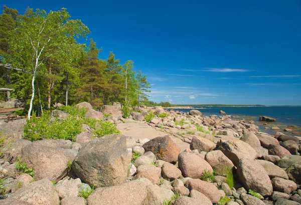 フィンランドの夏 — ストック写真