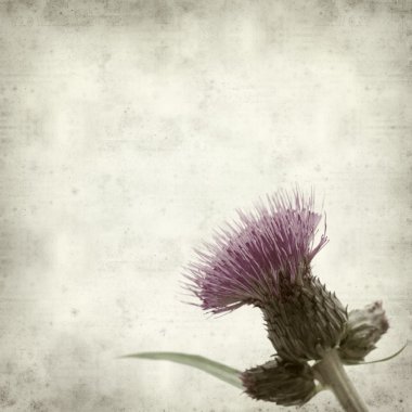 desenli eski kağıt arkaplan  